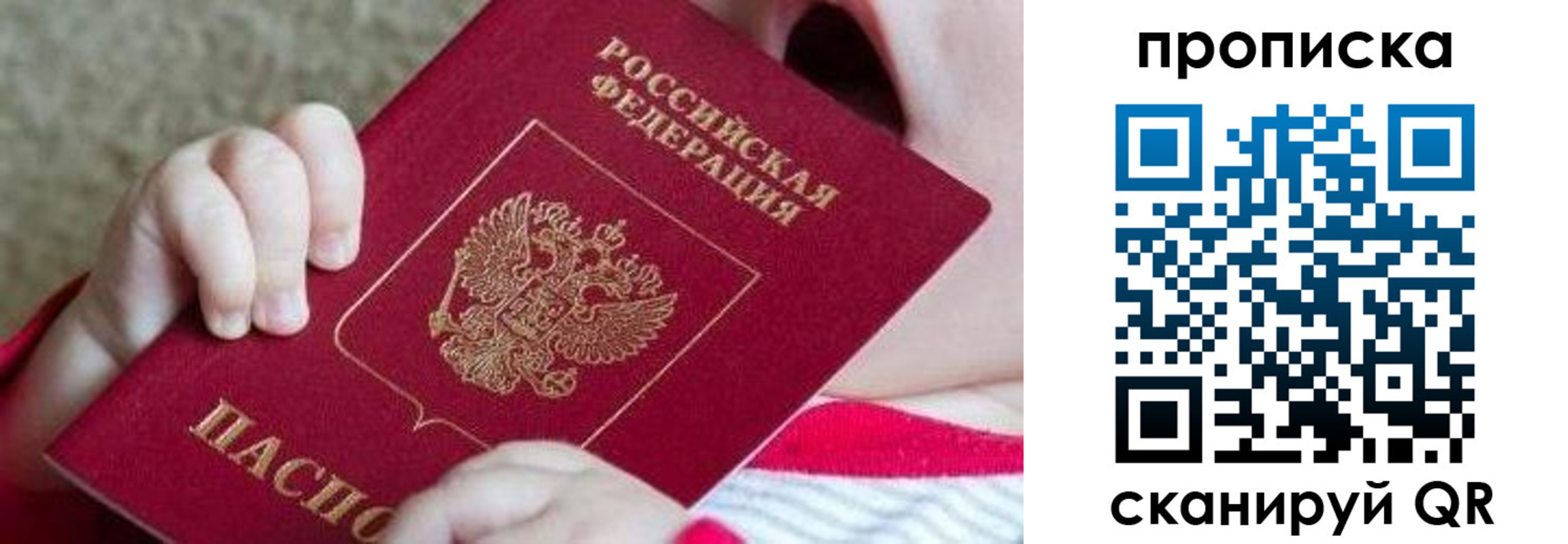 прописка для школы в Мурманске